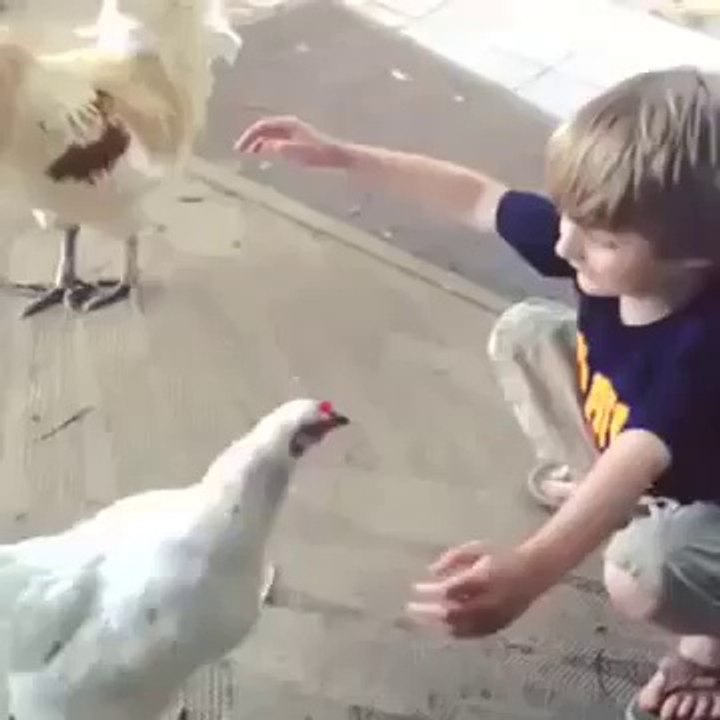 a hen hugs a child