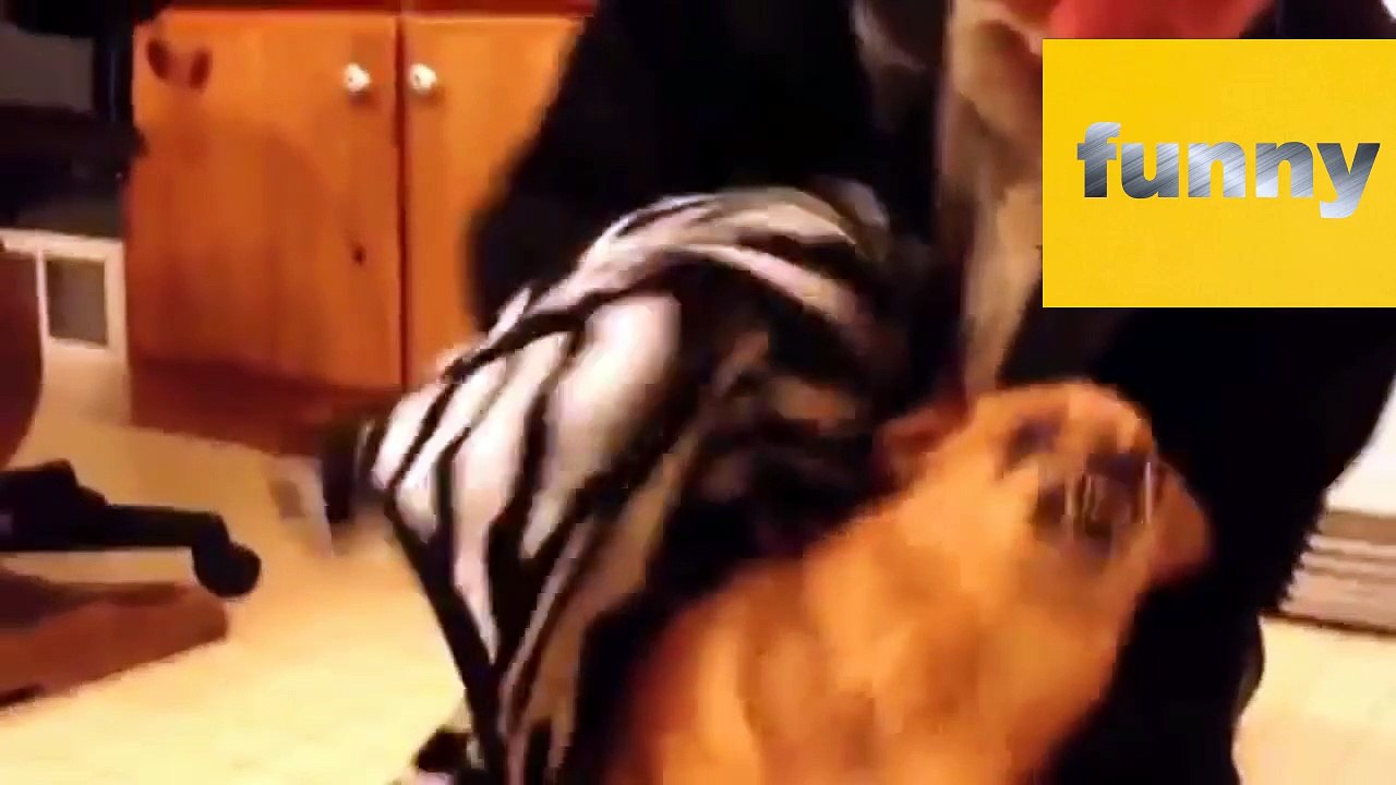 Dogs really hate bath time - Funny dog bathing part 2