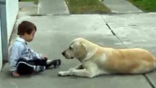 Sweet Mama Dog Interacting with a Beautiful Child with Down Syndrome. From Jim Stenson