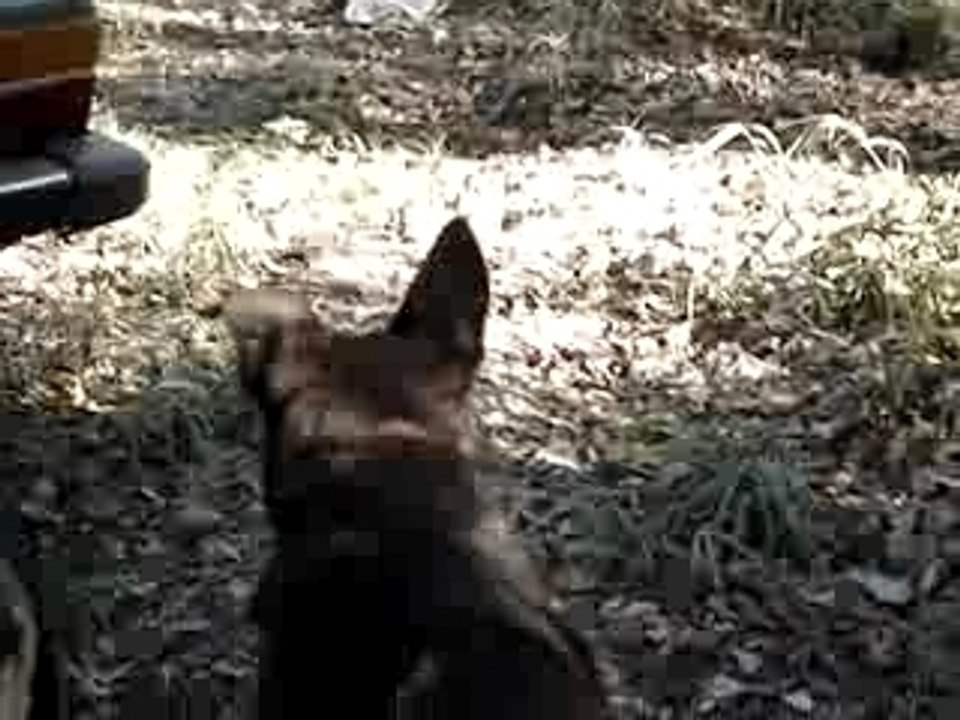 Jugando en Pereira Iraola