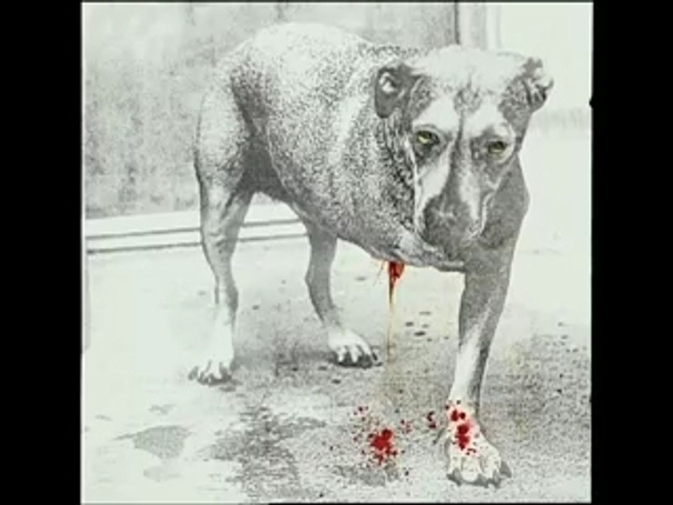 041 Fluid Battle of the Ad Bands - Battle