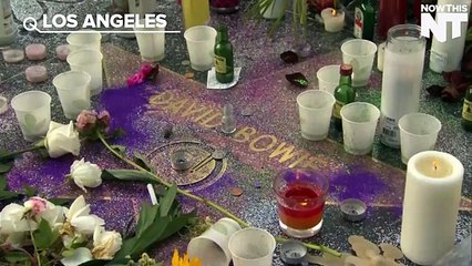 Watch Video Fans Around The World Honor David Bowie's Memory
