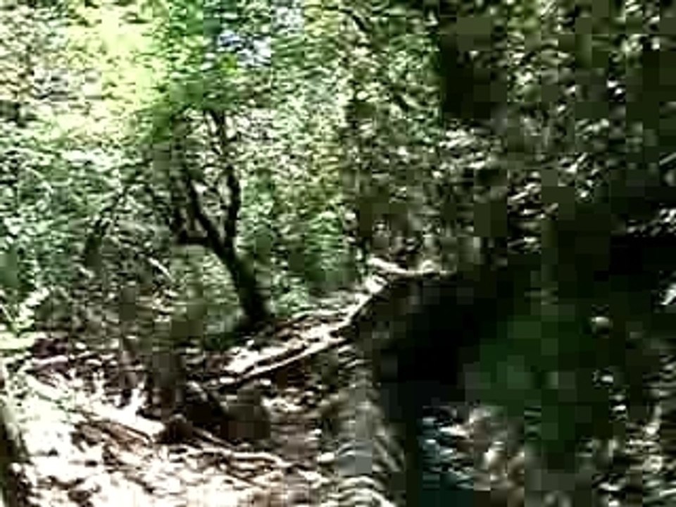 Trail Signes 2007 (137)