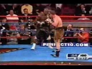 James Toney Highlight