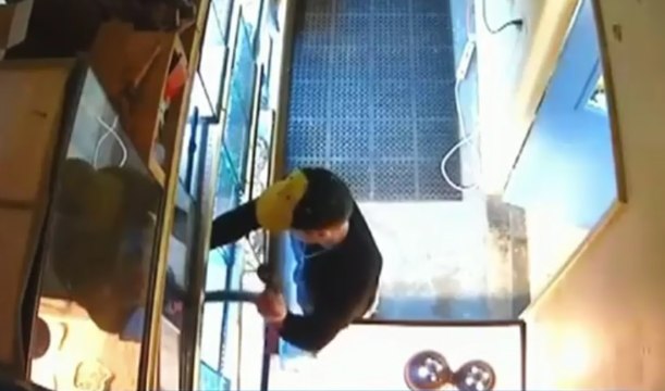 Un homme vole un python royal à 200$ en le mettant dans son caleçon