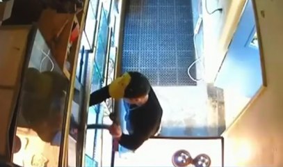 Un homme vole un python royal à 200$ en le mettant dans son caleçon