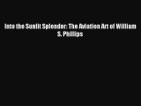 [PDF Download] Into the Sunlit Splendor: The Aviation Art of William S. Phillips [PDF] Full