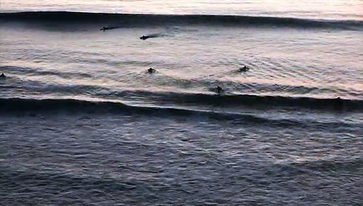 Deep Oranges and Purples - surfing