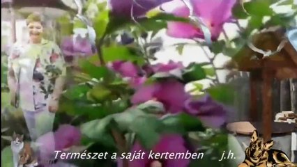 TERMÉSZET A SAJÁT KERTEMBEN-ZENÉVEL