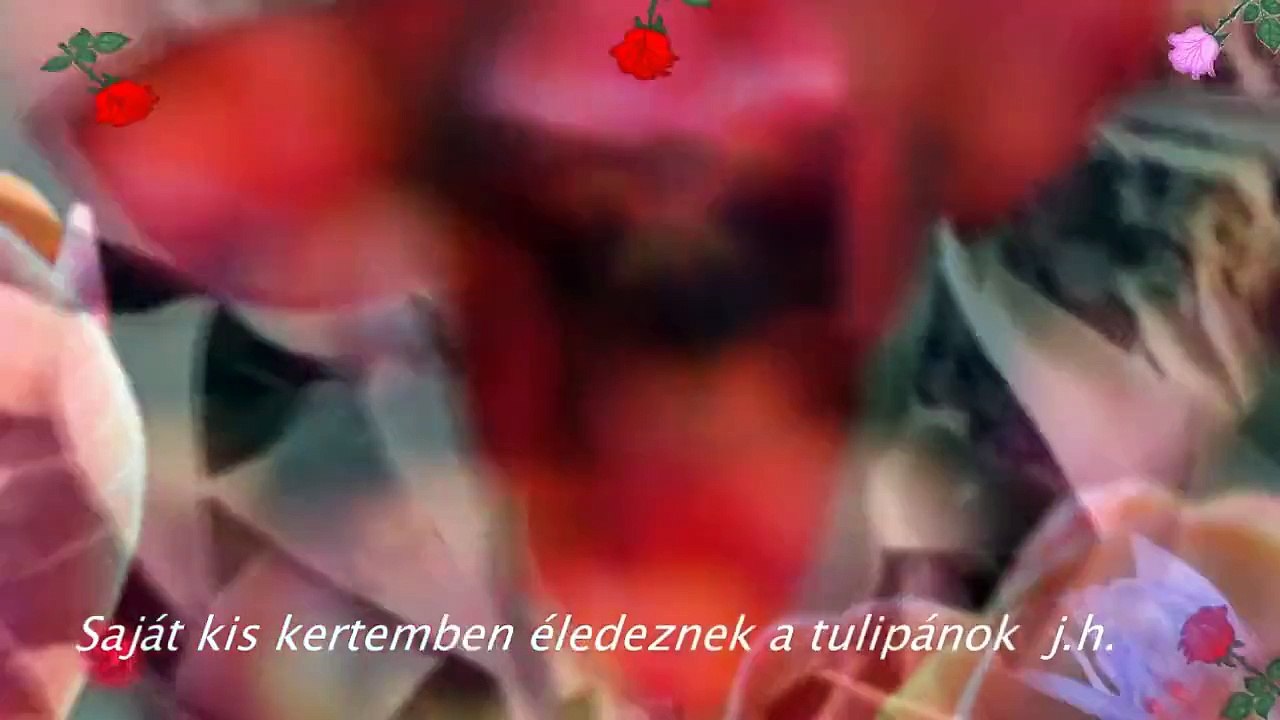 VIRÁGOSKERT AZ ÉN SZIVEM