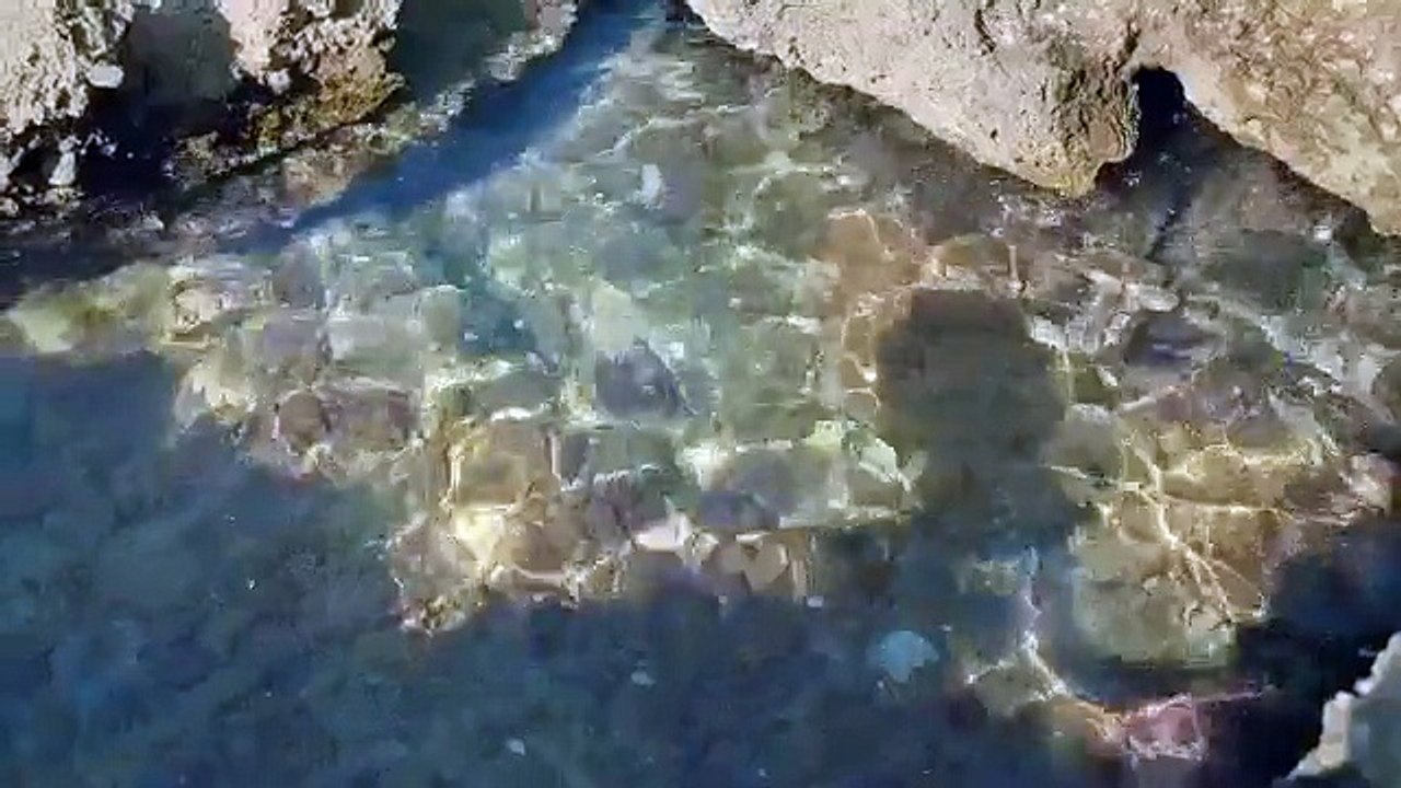 Norwegian Cruises - Cruise Like a Norwegian