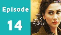 Zara Si Ghalat Fehmi Episode 14 Full on Ptv Home