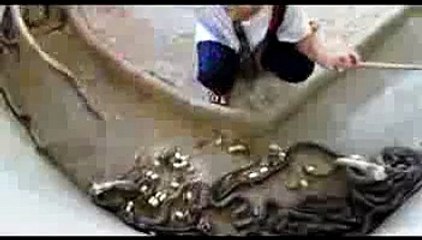 Hilarious Man The King Of Snak