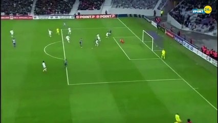 Toulouse 2 - 1 Marseille - All Goals 13.01.2016 HD