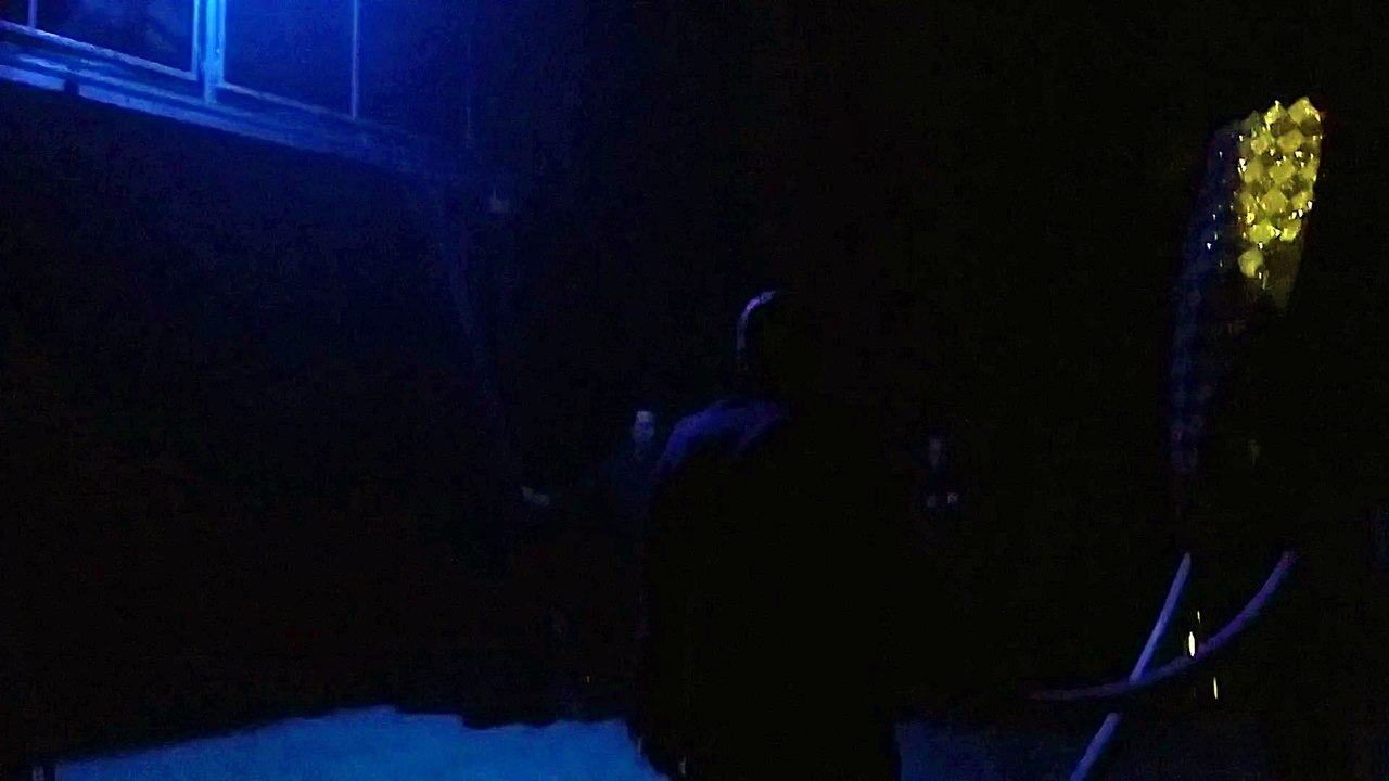 L'entrée en piste de l'éléphant star du cirque Bouglione