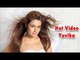Glamorous Photoshoot Of Yuvika Chaudhary | Bollywood Beauties