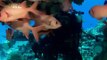 WATCH WATCH Pacific Ocean Sharks & Animals Best Shark Nature Wildlife Documentary]