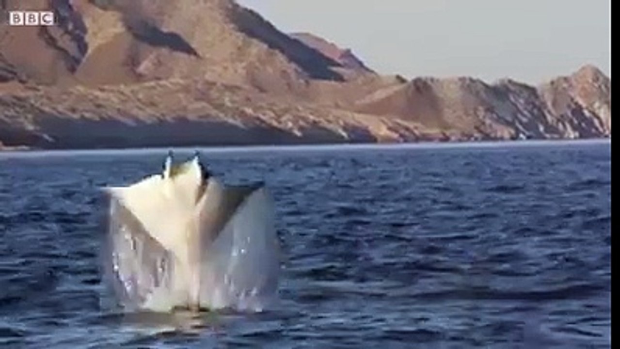 Espectacular!!!