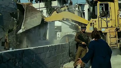 Big Mother Lover Wolves Palestine