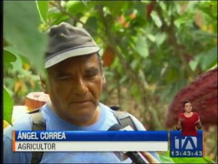 Скачать видео: Agricultores preocupados por incremento de costo en pesticidas