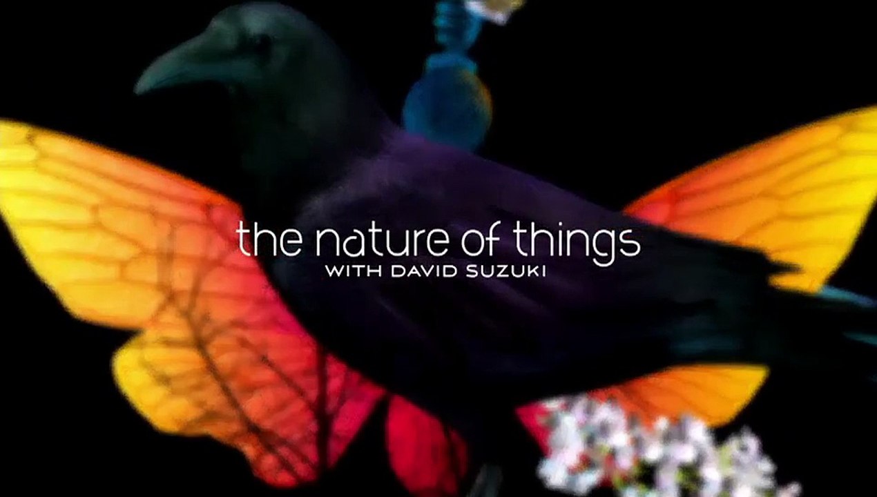 The Nature of Things CA - Myth or Science In the Eye of the Storm