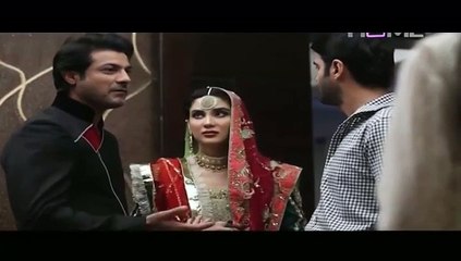 Zindagi Mujhay Tera Pata Chahiye 42 P1