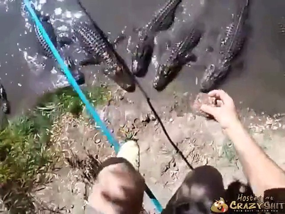 Crazy guy tight rope walking over alligators