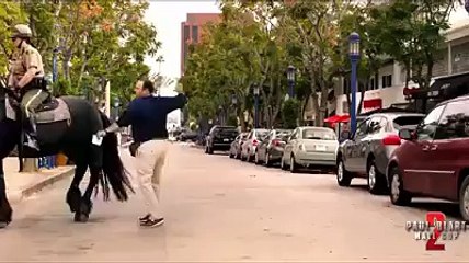 Don't Mess with the Horse