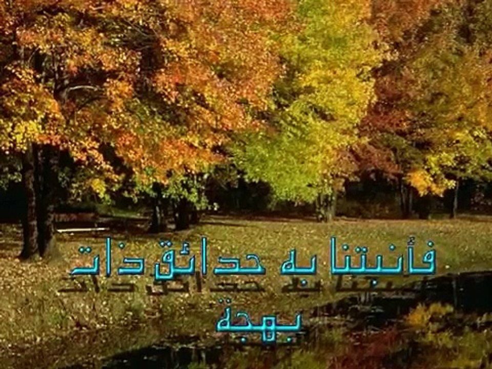 الشيخ كشك دروس المساء الحلقة 20