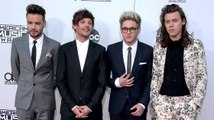 One Direction Breaking Up For Good?