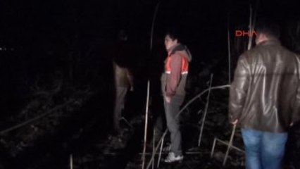 İnegöl'de Orman Yangını