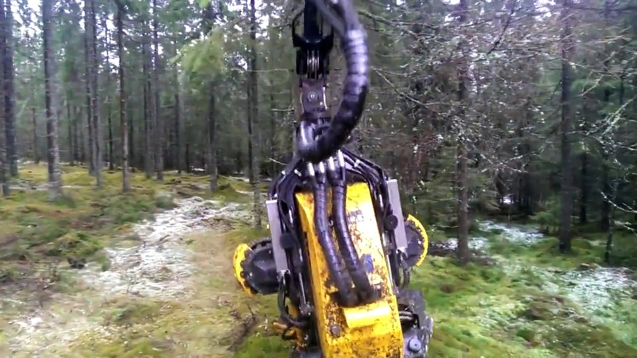 We have never seen anything like this!