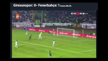 Giresunspor Fenerbahçe Maçı 0-2 Maçın Golleri 2016 Ziraat Türkiye Kupası Özet