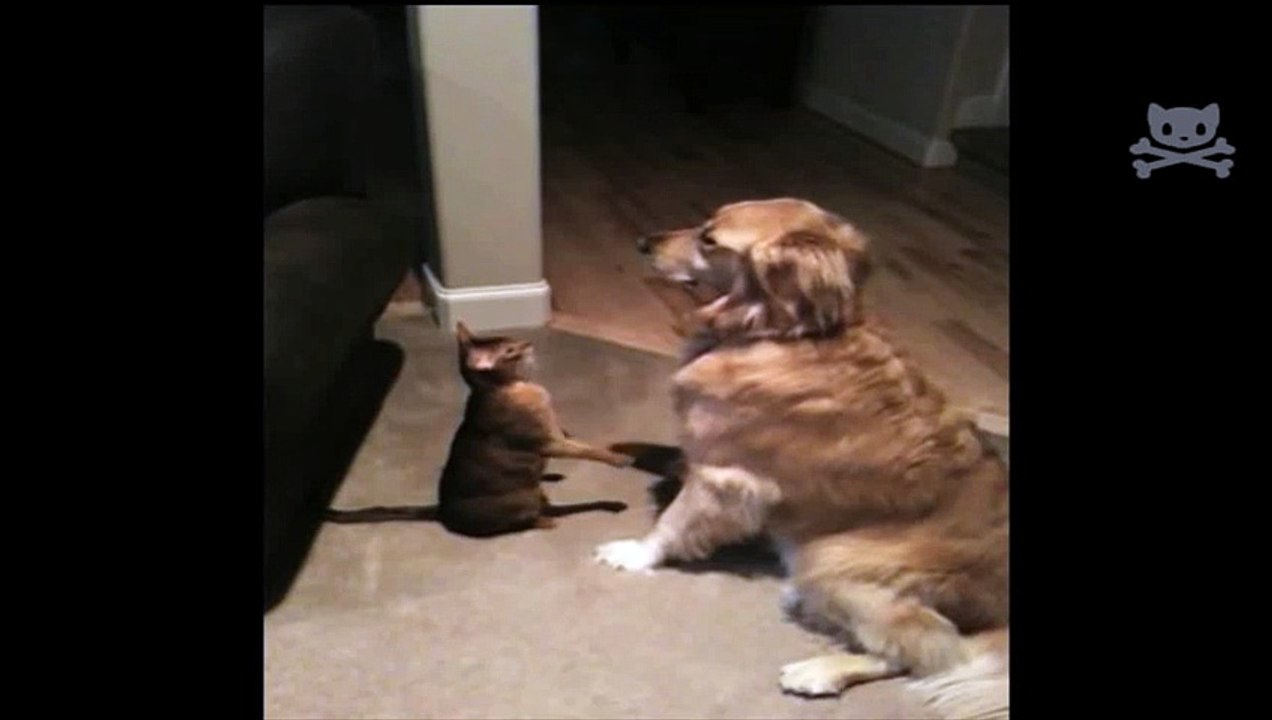 3 HOURS Relaxing Music Evening Meditation Background for Yoga, Massage, Spa