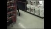 Labrador makes best shopping buddy - Sgt Gas Mask