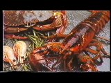 Pepe da Rosa - Canto al Langostino