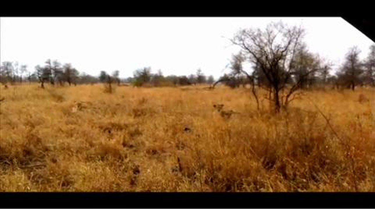 Parque Kruger en 4x4