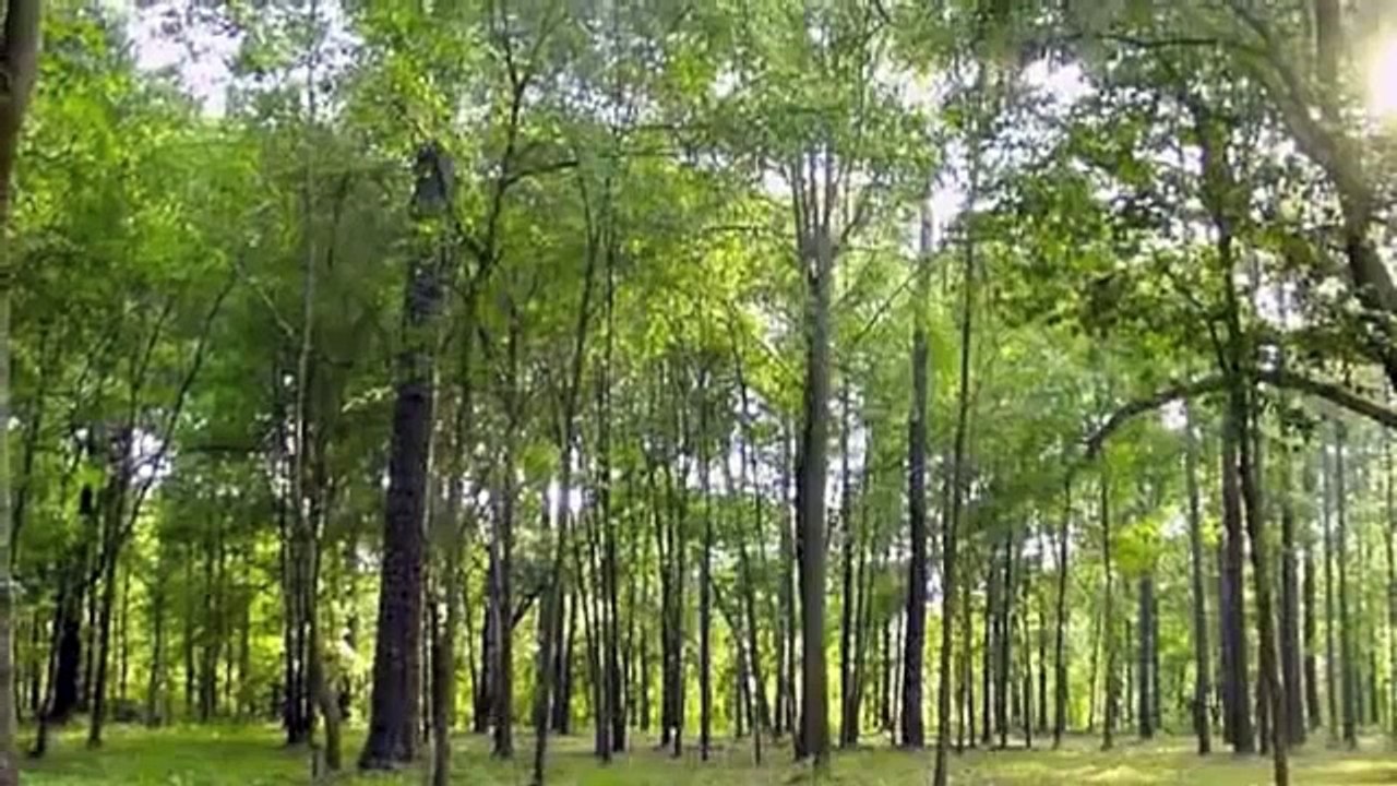 ---Song of Storms Orchestrated