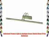 Picture Light Switched in Antique Brass Finish 66cm 8343AB