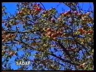 Quran Ke Tarikhi Historical Maqamat - PART 12