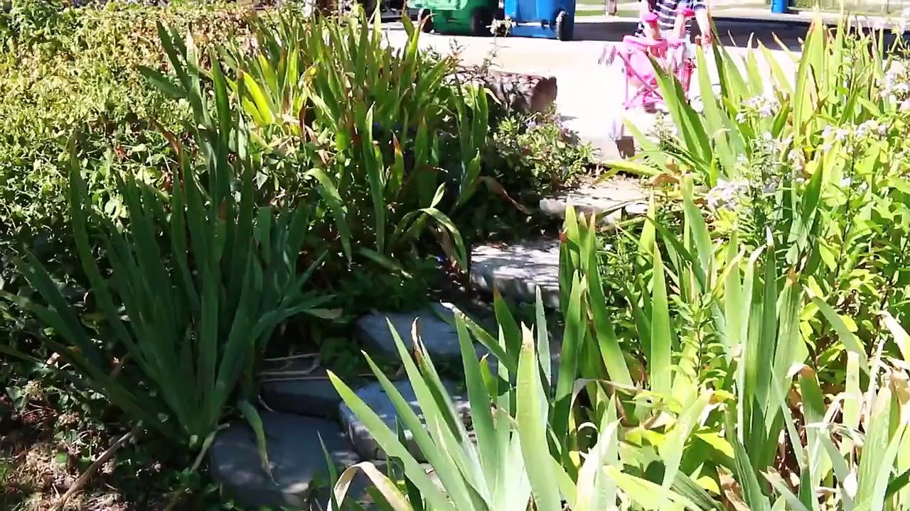 Baby Alive BABY ATTACK 6 Worlds Biggest CRAZY Wild Baby Stroller CRASH Baby Alive Boo Boo