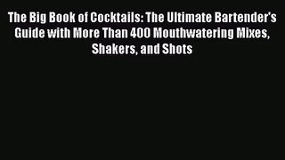 PDF Download The Big Book of Cocktails: The Ultimate Bartender's Guide with More Than 400 Mouthwatering