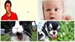 Cute Puppy Makes Funny Noises While Eating Yogurt Funny Animals / Funny dogs