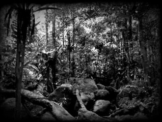 live dinosaur caught on tape - KGB leaked footage