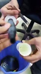 فضيحة جديدة في تونس انتبهوا مادة سامة داخل عبوة 'فيزيومار' (Physiomer) دواء الأطفال