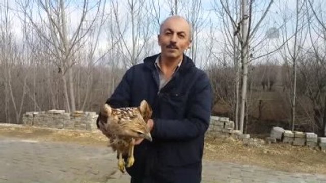 Yaralı Şahine Uzanan Şefkat Eli