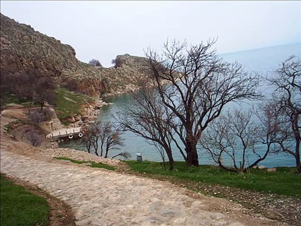 sezen aksu geri dön