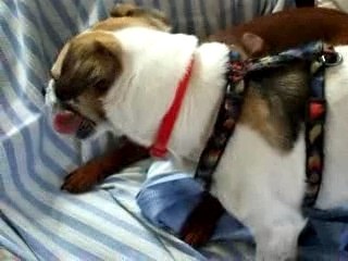 5-Le contrôle de JAck-Amiral