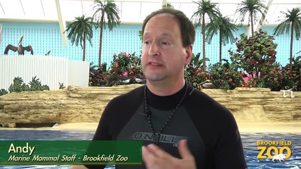 Brookfield Zoo's Seven Seas Staff Part 2