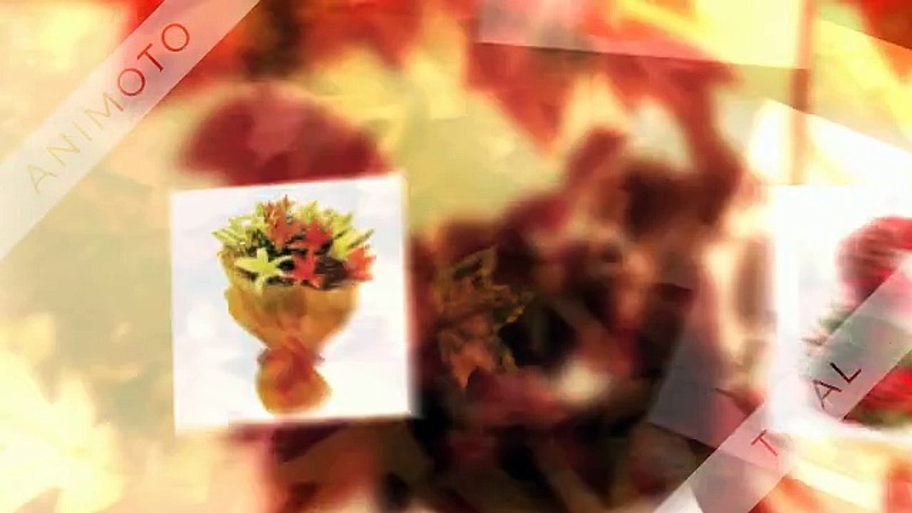 Send Flowers Online | Ferns N Petals | Call Us at +91 92124 22000